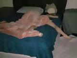 Sleeping Girl Wakes Up When She is Fucked by Her Daddy